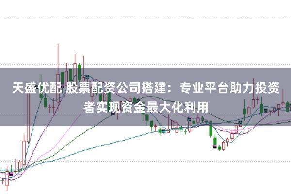 天盛优配 股票配资公司搭建：专业平台助力投资者实现资金最大化利用