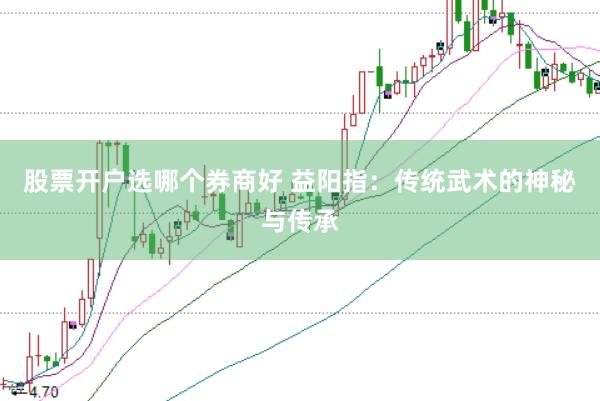 股票开户选哪个券商好 益阳指：传统武术的神秘与传承