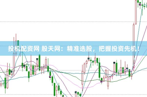 投机配资网 股天网：精准选股，把握投资先机！