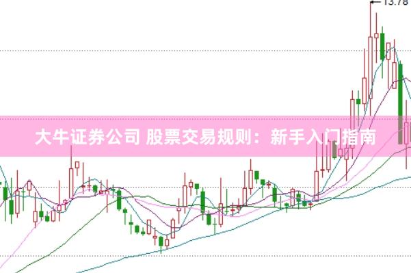 大牛证券公司 股票交易规则：新手入门指南