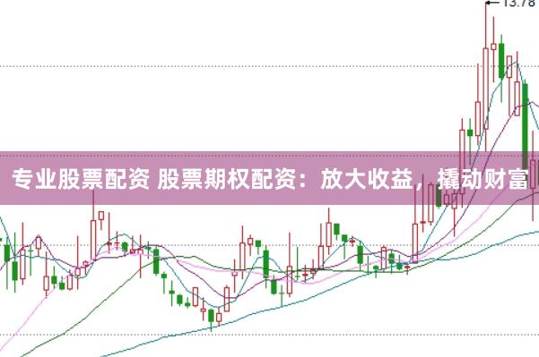 专业股票配资 股票期权配资：放大收益，撬动财富