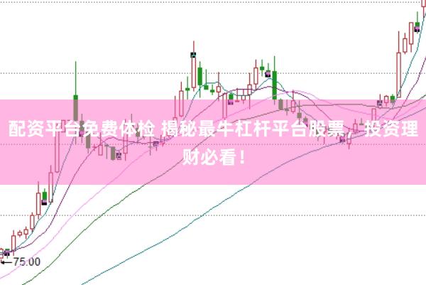 配资平台免费体检 揭秘最牛杠杆平台股票，投资理财必看！