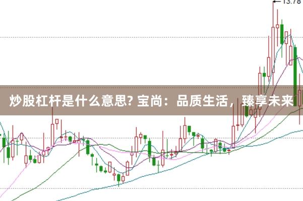 炒股杠杆是什么意思? 宝尚：品质生活，臻享未来