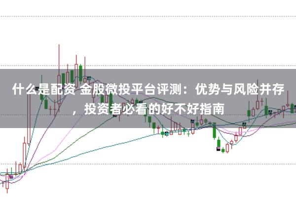 什么是配资 金股微投平台评测：优势与风险并存，投资者必看的好不好指南