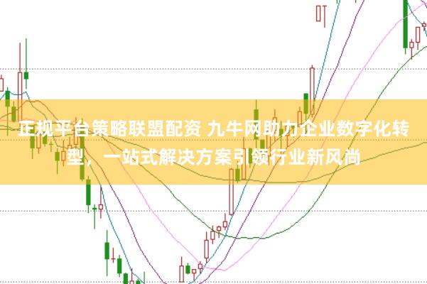 正规平台策略联盟配资 九牛网助力企业数字化转型,一站式解决方案引领行业新风尚