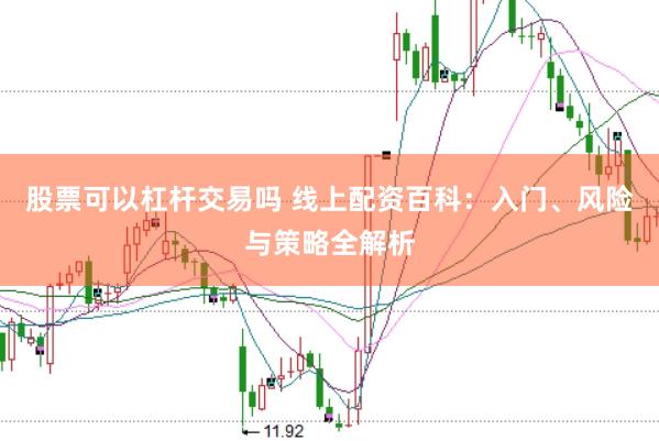 股票可以杠杆交易吗 线上配资百科:入门、风险与策略全解析