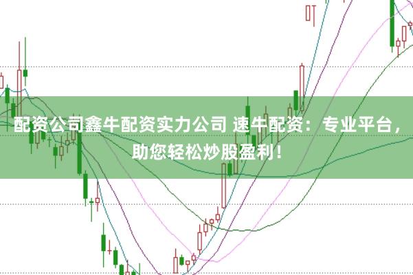 配资公司鑫牛配资实力公司 速牛配资:专业平台,助您轻松炒股盈利!