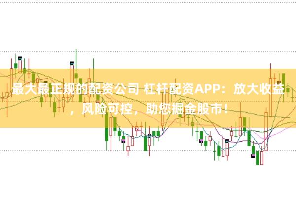最大最正规的配资公司 杠杆配资APP:放大收益,风险可控,助您掘金股市!