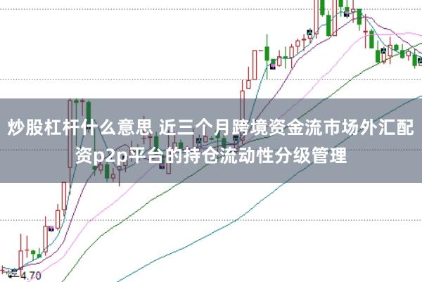 炒股杠杆什么意思 近三个月跨境资金流市场外汇配资p2p平台的持仓流动性分级管理
