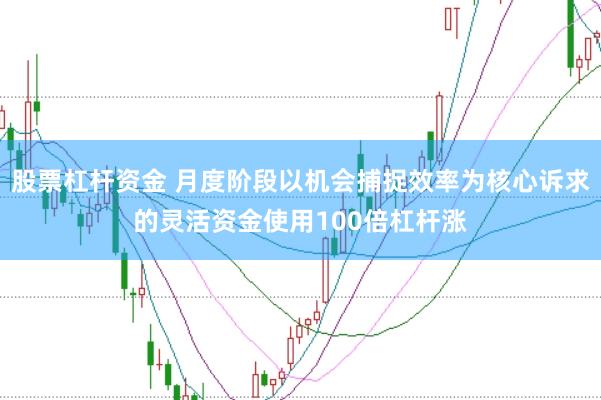 股票杠杆资金 月度阶段以机会捕捉效率为核心诉求的灵活资金使用100倍杠杆涨