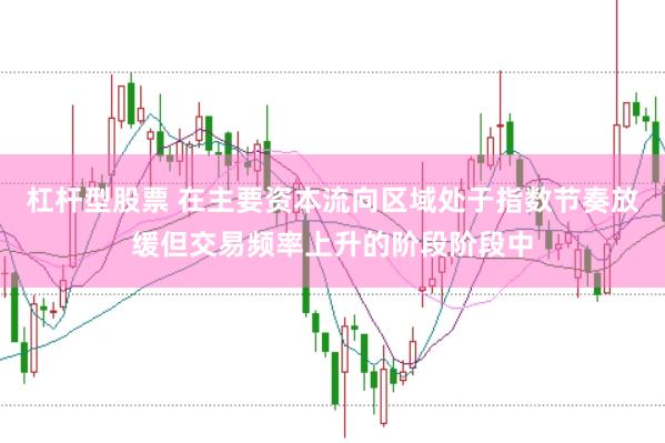杠杆型股票 在主要资本流向区域处于指数节奏放缓但交易频率上升的阶段阶段中