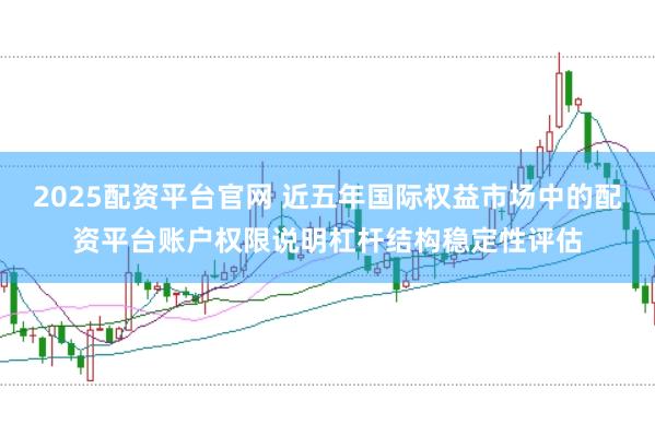 2025配资平台官网 近五年国际权益市场中的配资平台账户权限说明杠杆结构稳定性评估