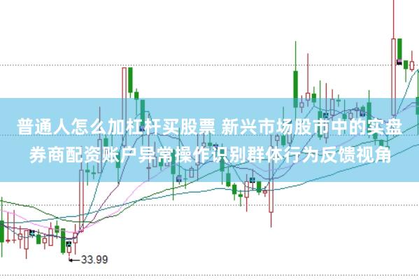 普通人怎么加杠杆买股票 新兴市场股市中的实盘券商配资账户异常操作识别群体行为反馈视角