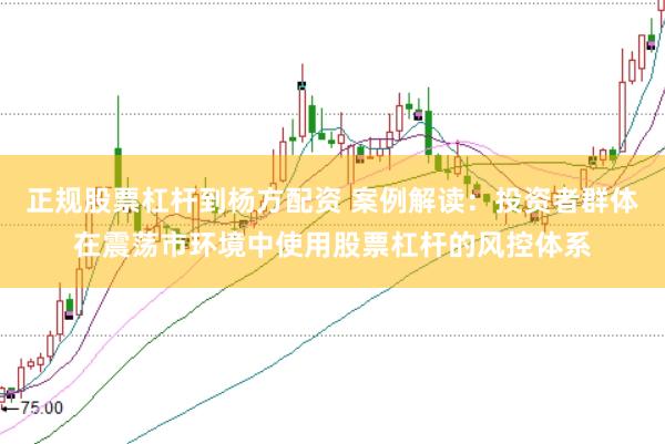 正规股票杠杆到杨方配资 案例解读:投资者群体在震荡市环境中使用股票杠杆的风控体系