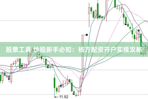 股票工具 炒股新手必知：杨方配资开户实操攻略