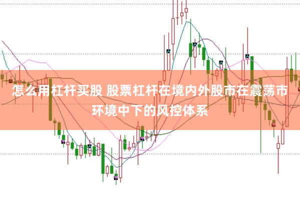 怎么用杠杆买股 股票杠杆在境内外股市在震荡市环境中下的风控体系