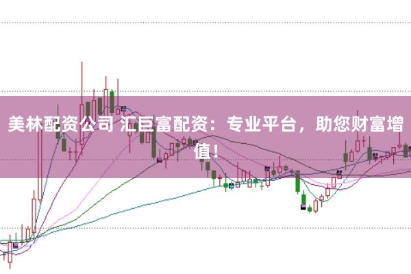 美林配资公司 汇巨富配资：专业平台，助您财富增值！