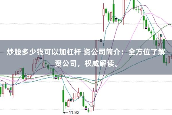炒股多少钱可以加杠杆 资公司简介：全方位了解资公司，权威解读。